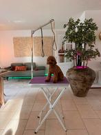 Honden trim tafel voor kleine hondjes., Dieren en Toebehoren, Honden-accessoires, Ophalen, Nieuw