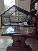 Hamsterkooi. Groot., Dieren en Toebehoren, Knaagdieren en Konijnen | Hokken en Kooien, Ophalen, Kooi, Hamster, Minder dan 60 cm