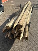 Robinia palen hardhout Ø10-12 x250 nieuw, Ophalen, Palen, Nieuw, Hardhout