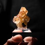 fluoriet uit frohnau #4, Ophalen of Verzenden, Mineraal