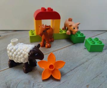 Lego Duplo boerderij dieren uit set 10522 beschikbaar voor biedingen