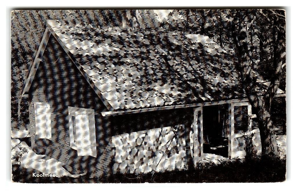 Oudleusen, Recreatie Centrum "De Wildbaan" Koolmees, Verzamelen, Verzenden, 1960 tot 1980, Gelopen, Overijssel