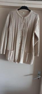 Beige gebreid vest - Maat XXL, Beige, Maat 46/48 (XL) of groter, Ophalen of Verzenden, Onbekend