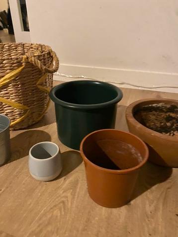 Plant vases and pots beschikbaar voor biedingen