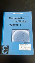 Mathematics that Works volume 1, Maarten de Gee, Ophalen of Verzenden, Zo goed als nieuw