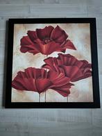 Schilderij “ klaproos”., Ophalen of Verzenden, Zo goed als nieuw, Schilderij, 50 tot 75 cm
