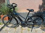Pegasus Premio Evo Nu-E-belt, Gebruikt, 47 tot 51 cm, 50 km per accu of meer, Ophalen