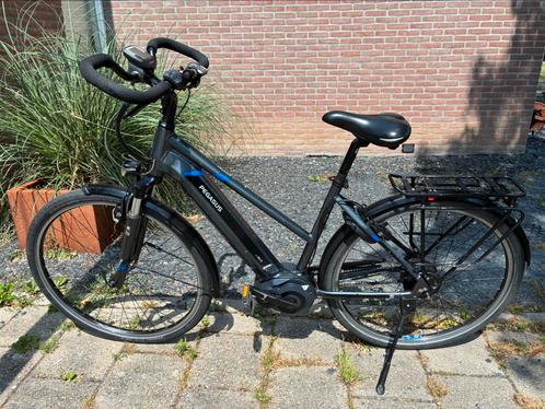 Pegasus Premio Evo Nu-E-belt, Fietsen en Brommers, Elektrische fietsen, Gebruikt, Overige merken, 47 tot 51 cm, 50 km per accu of meer
