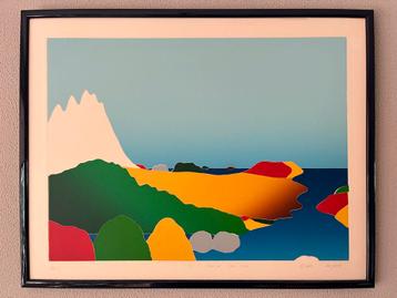Thom de Jong - Artist Proof 1981 beschikbaar voor biedingen
