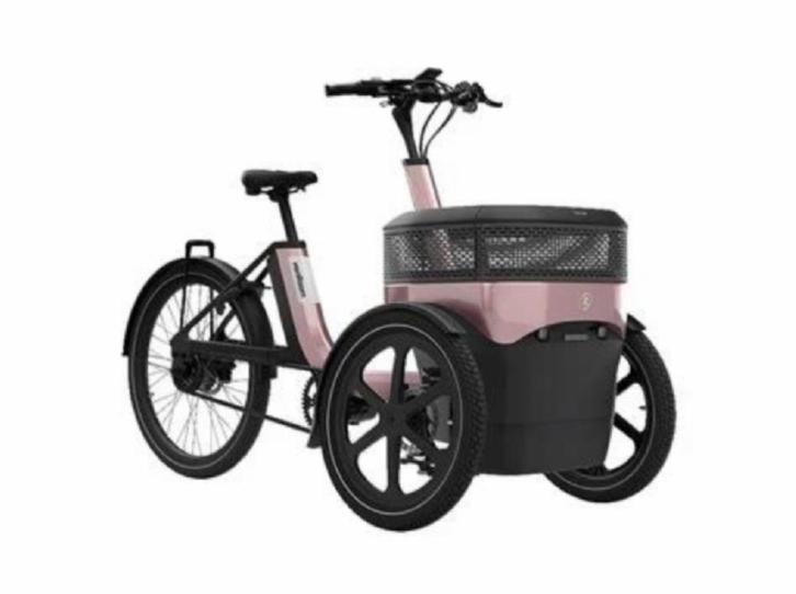Nieuwe Van Raam Thuja Demo, Fietsen en Brommers, Fietsen | Bakfietsen, Nieuw, Elektrisch, Ophalen