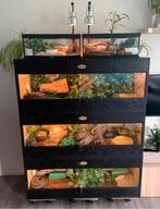 NIEUW ‼️ TERRARIUM OSB ( verschillende maten ), Dieren en Toebehoren, Reptielen en Amfibieën | Toebehoren, Ophalen, Nieuw, Terrarium of Paludarium