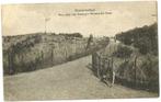 AK Bloemendaal - Weg naar het Koningin Wilhelmina Duin, Verzenden, Voor 1920, Gelopen, Noord-Holland