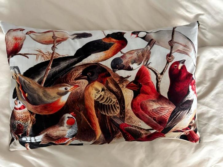 Sierkussen Intratuin 40-60, Huis en Inrichting, Woonaccessoires | Kussens, Zo goed als nieuw, Rechthoekig, Ophalen of Verzenden