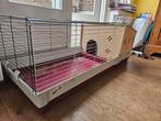 Cavia konijnenhok ferplast, Dieren en Toebehoren, Minder dan 60 cm, Gebruikt, Cavia, Ophalen of Verzenden