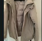 Elvine beige unisex S, Kleding | Dames, Jassen | Winter, Beige, Elvine, Ophalen of Verzenden, Maat 36 (S)