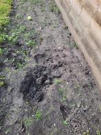 zwarte grond, Ophalen, Tuinaarde