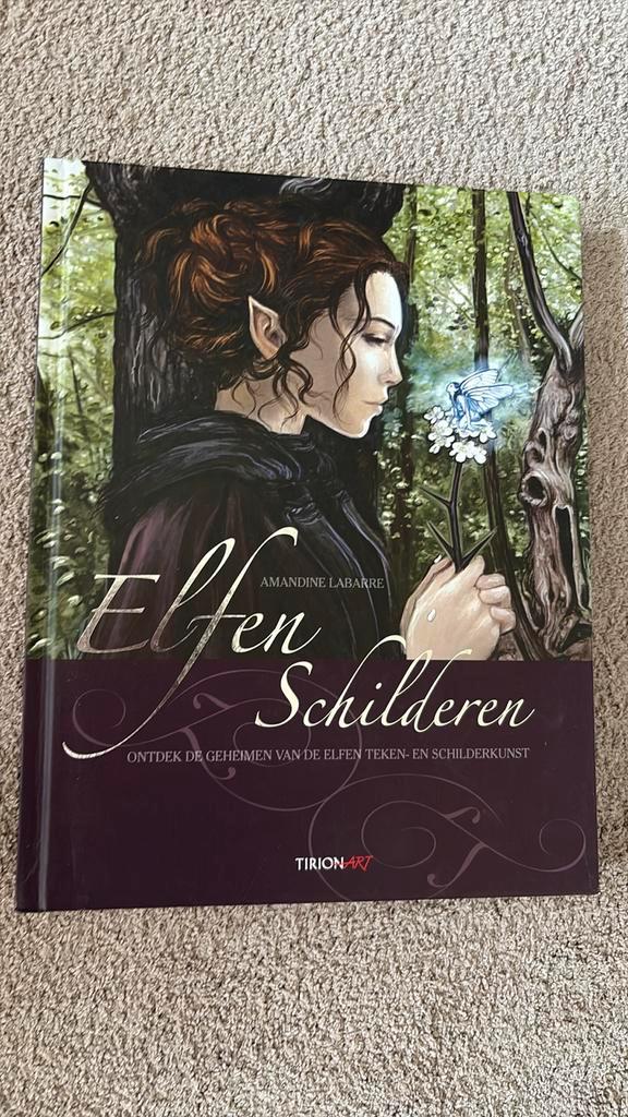 Amandine Labarre - Elfen schilderen, Boeken, Overige Boeken, Zo goed als nieuw, Ophalen of Verzenden