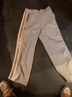 Alix the Label Grijze Jogger Maat L, Ophalen of Verzenden, Maat 52/54 (L), Grijs