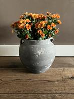 Prachtige chinese kruik!, Overige kleuren, Aardewerk of Porselein, Ophalen of Verzenden, Zo goed als nieuw