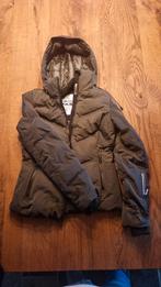 Wintersport jas Falcon maat S, Ophalen, Gedragen, Maat 36 (S), Jack