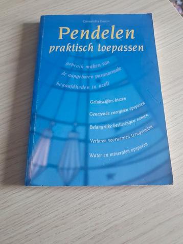 Cassandra eason - Pendelen praktisch toepassen  beschikbaar voor biedingen