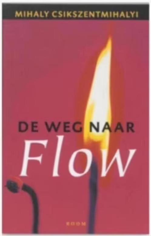 De Weg Naar Flow, Boeken, Advies, Hulp en Training, Zo goed als nieuw, Ophalen of Verzenden