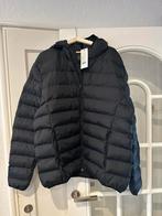 Nieuwe Zwarte Jas - French Connection - XL, Ophalen of Verzenden, Nieuw, Maat 56/58 (XL), Zwart