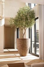 Kunstboom Olijfboom 250cm - Ultra realistisch - Nieuw, Ophalen of Verzenden, Nieuw, Binnen