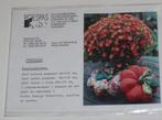 Patchworkpatroon  pompoen  111202, Ophalen of Verzenden, Nieuw, Borduren en Naaien