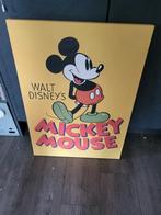 Schilderij Mickey mouse, Ophalen of Verzenden, Zo goed als nieuw