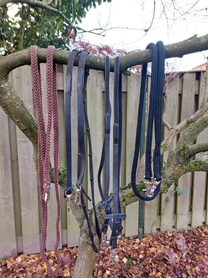Verschillende teugels maat cob, met en zonder clips, Dieren en Toebehoren, Paarden en Pony's | Hoofdstellen en Tuigage, Gebruikt