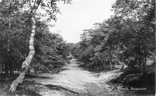 (387-223-023) Ermelo Bosgezicht, Verzamelen, Ansichtkaarten | Nederland, Gelderland, Verzenden