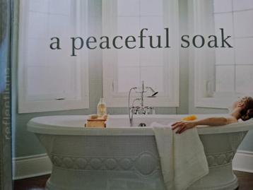 GEORGE NASCIMENTO -  A PEACEFUL SOAK beschikbaar voor biedingen