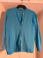 Twinset van Peter Hahn (48), Verzenden, Zo goed als nieuw, Maat 46/48 (XL) of groter, Blauw
