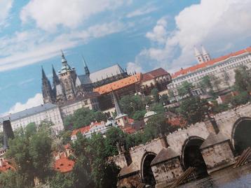 Praag legpuzzel 1000 stukjes Wild Horse - mooie afbeelding beschikbaar voor biedingen