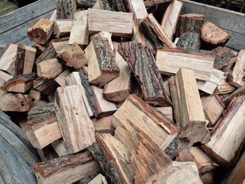 DROOG BRANDHOUT EIKENHOUT GRATIS BEZORGD beschikbaar voor biedingen