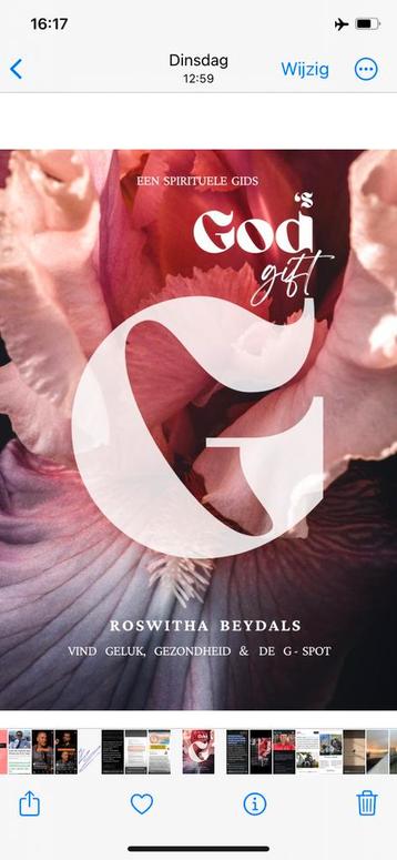 God’s Gift  beschikbaar voor biedingen