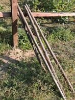 Weide palen, Dieren en Toebehoren, Stalling en Weidegang