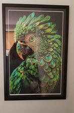 Schilderij Papegaai, Antiek en Kunst, Ophalen of Verzenden