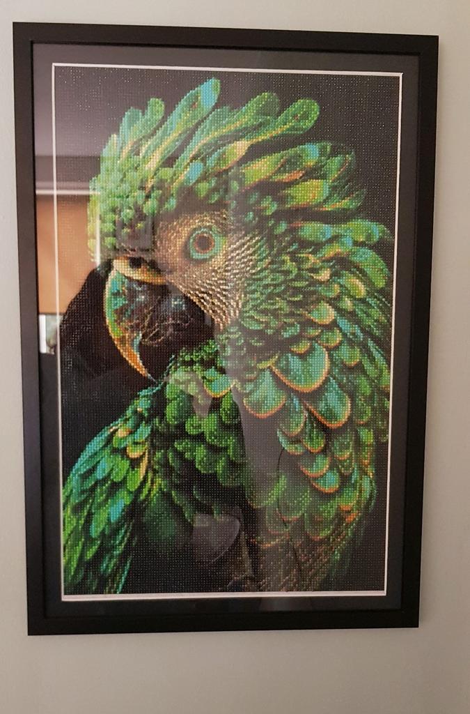 Schilderij Papegaai, Antiek en Kunst, Kunst | Schilderijen | Abstract, Ophalen of Verzenden