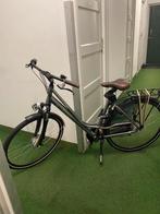 Pegasus Salerno Satatus: In behadeling 51cm, Overige merken, 28 inch, Ophalen of Verzenden, Zo goed als nieuw