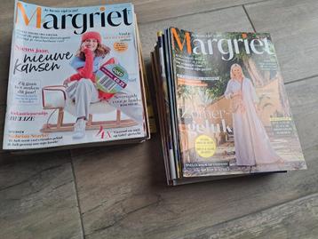 25x Margriet  beschikbaar voor biedingen