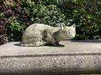 Poes, Ophalen of Verzenden, Gebruikt