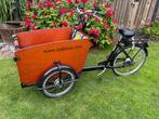 Babboe elektrische bakfiets goedgekeurd, Ophalen, Gebruikt, 4 kinderen of meer, Elektrisch
