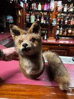 Vossenkop met staart, Dieren en Toebehoren, December, Geslacht onbekend