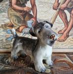 Royal Dux Terriër Hond Grijs Puntgaaf Gemerkt Antiek, Ophalen of Verzenden
