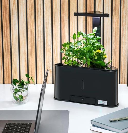 Teig Binnentuin met automatische lamp en irrigatie, Tuin en Terras, Kweekspullen, Nieuw, Overige typen, Ophalen of Verzenden