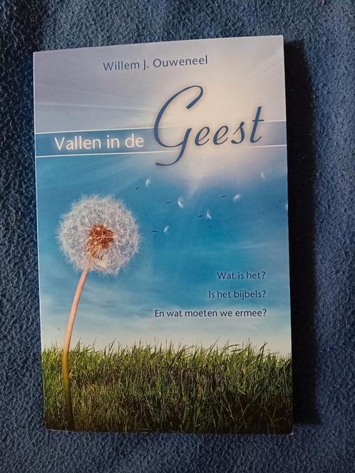 Willem J. Ouweneel - Vallen in de Geest, Boeken, Godsdienst en Theologie, Zo goed als nieuw, Ophalen of Verzenden