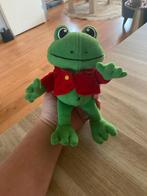 Knuffel Rick de Kikker - Duinrell, Kinderen en Baby's, Speelgoed | Knuffels en Pluche, Verzenden, Zo goed als nieuw, Kikker