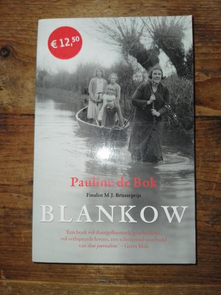 Pauline de Bok - Blankow, Boeken, Overige Boeken, Zo goed als nieuw, Ophalen of Verzenden